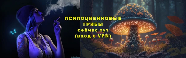 ешки Абинск